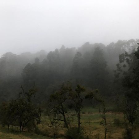 Cabana Romantica En El Bosque! Acaxochitlan Bagian luar foto