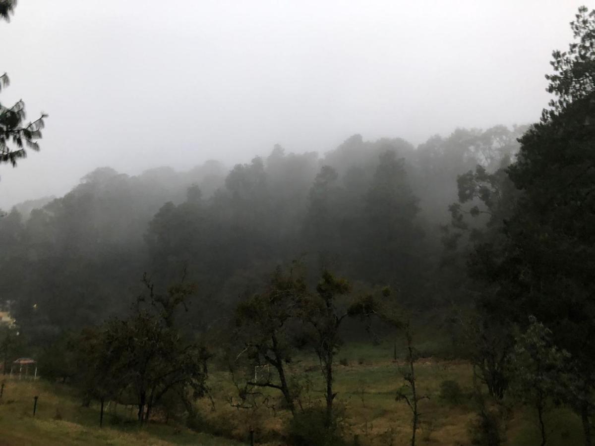 Cabana Romantica En El Bosque! Acaxochitlan Bagian luar foto