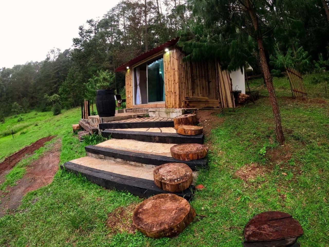 Cabana Romantica En El Bosque! Acaxochitlan Bagian luar foto
